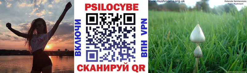 блэк спрут ONION  Чёрмоз  Псилоцибиновые грибы прущие грибы 